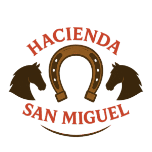 Home HSM 300x300
