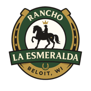 Home logo (1)